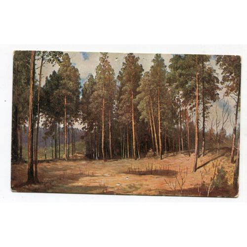 Відкритий лист. Шишкін. Адресовано в Київ 1917 р.