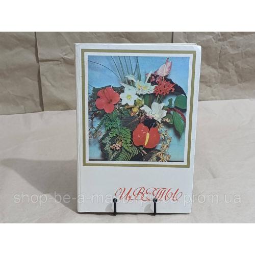 Цветы. Комнатные растения и декоративноцветущие кустарники В. Г. Жоголева С. Н. Приходько Т. М. Черевченко1981