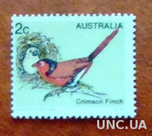 Австралия 1979 фауна птицы 686