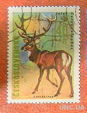 Чехословакия 1966 фауна