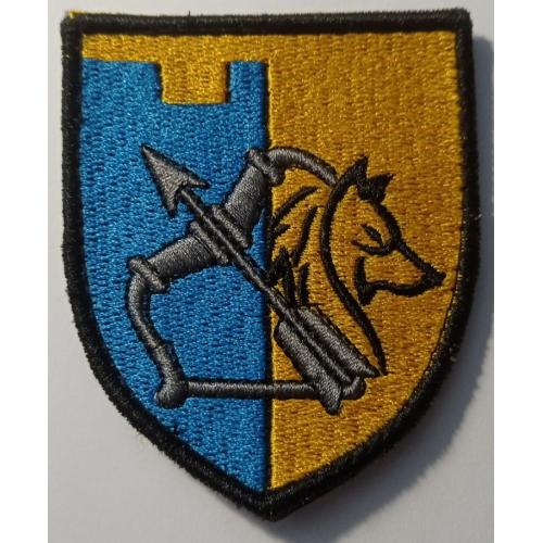 Шеврон. Україна. Армія. ЗСУ. 209 ОБ ТрО. 113 ОБр ТрО. lity