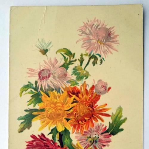 Поштова карточка листівка открытка Хризантеми поч. 1909 рік Germany Yu46