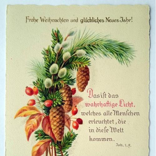 Поштова карточка листівка открытка Веселого Різдва поч. ХХ ст. Germany Yu04