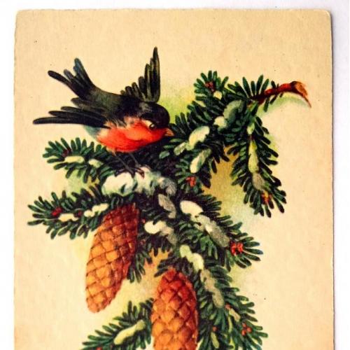 Поштова карточка листівка открытка Веселого Різдва поч. ХХ ст. Germany Yu05