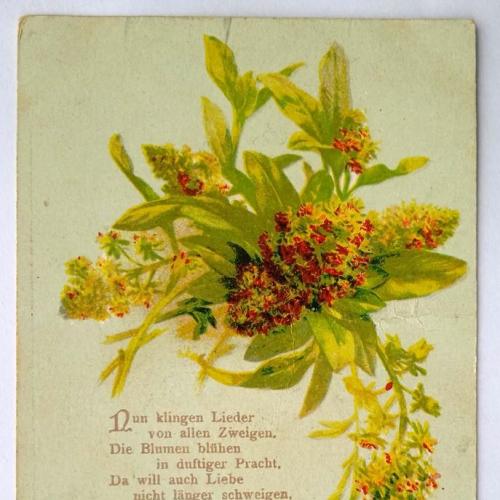 Поштова карточка листівка открытка Веснянка 1914 рік Germany Yu07