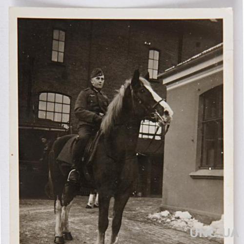 Старое фото На лошади Вторая мировая война Германия fB
