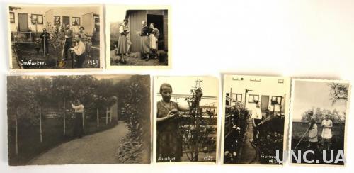 Старые фото Сад и огород, 6 штук, 1920-е, Германия