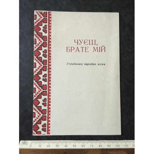 Чуєш брате мій