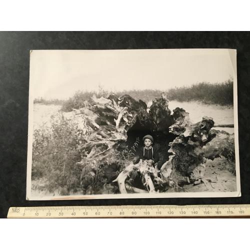 Фотографія Діти