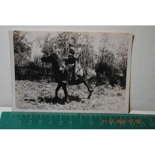 фотография командир на коне