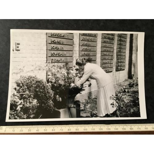 Фотографія Патонівці