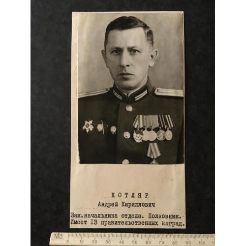 Фотографія Портрет