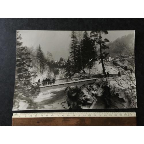 Фотографія Природа авторська