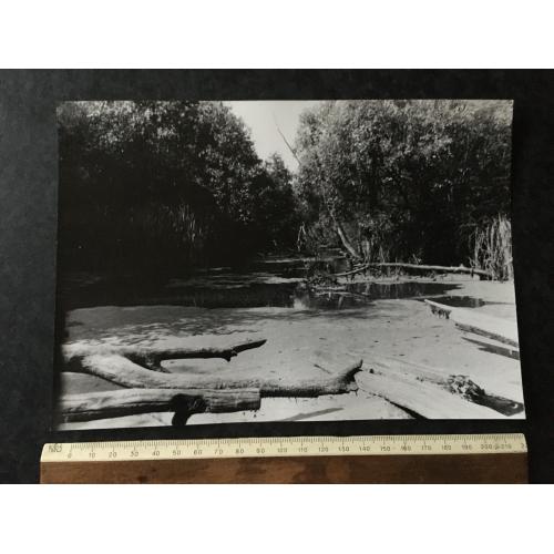 Фотографія Природа авторська