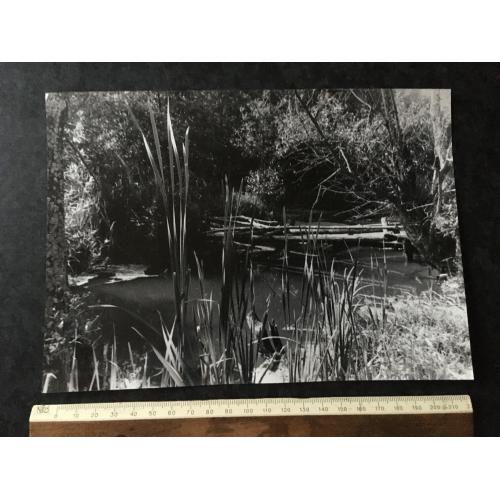 Фотографія Природа авторська