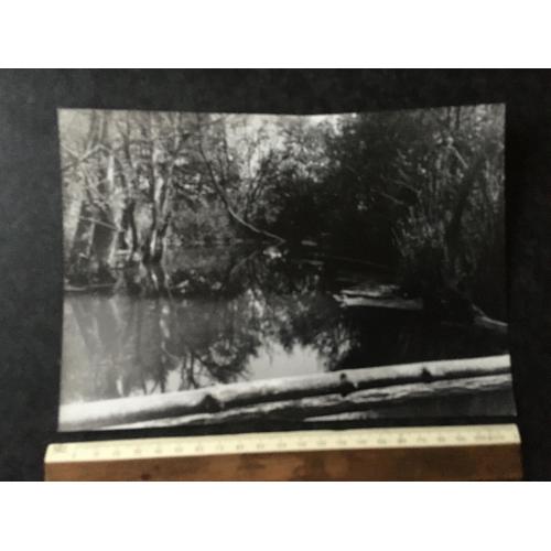 Фотографія Природа авторська