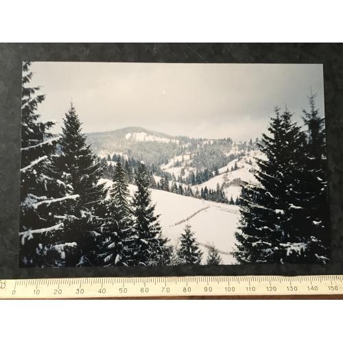 Фотографія Рослини