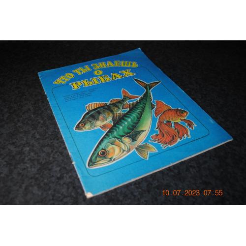 книга дитяча Що ти знаєш про рибу 1991 рік мал. Крига