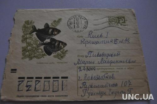 Конверт почтовый СССР 1971 Аквариумные рыбы Тернеции 