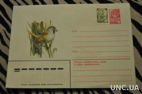  Конверт почтовый СССР 1980 Усатая синица 
