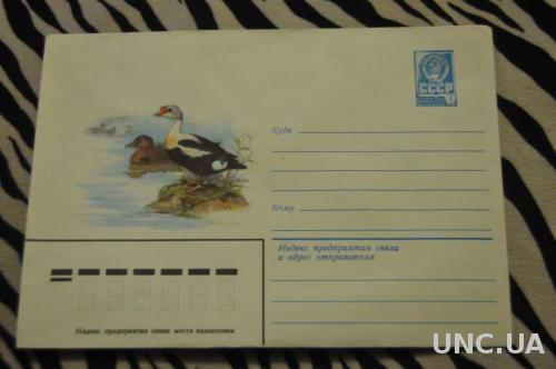  Конверт почтовый СССР 1981 Утки 