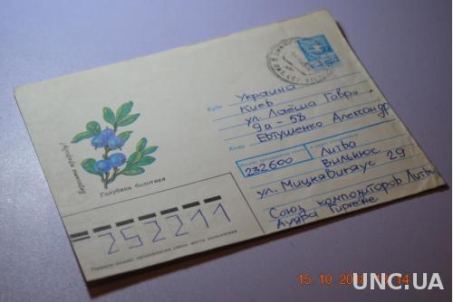  Конверт почтовый СССР 1989 Голубика болотная