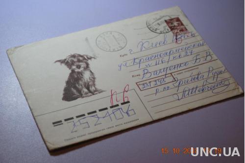  Конверт почтовый СССР 1988 Собака 