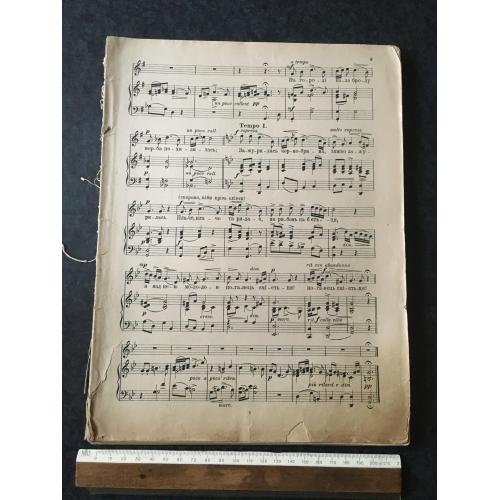 Лисенко Заремби