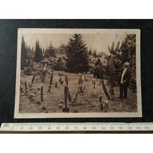 Листівка Абхазія