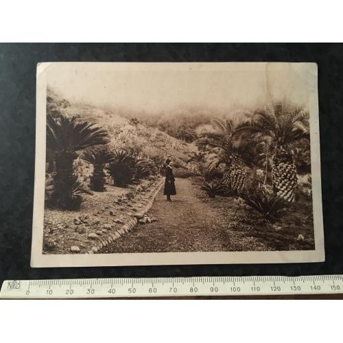 Листівка Абхазія