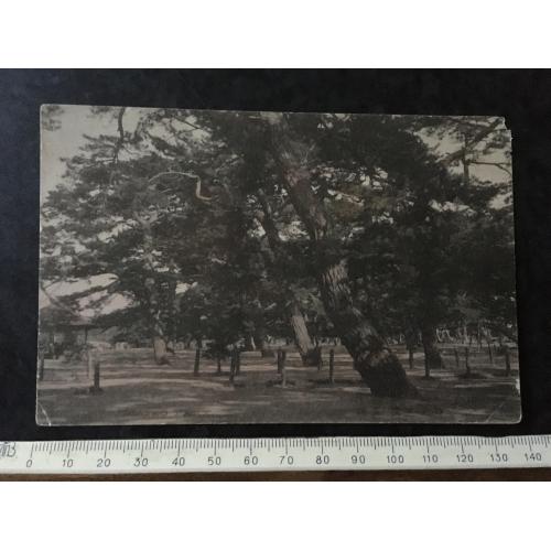 Листівка Азія