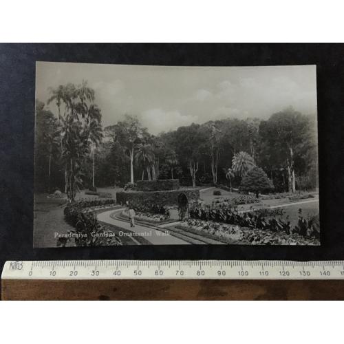 Листівка Цейлон