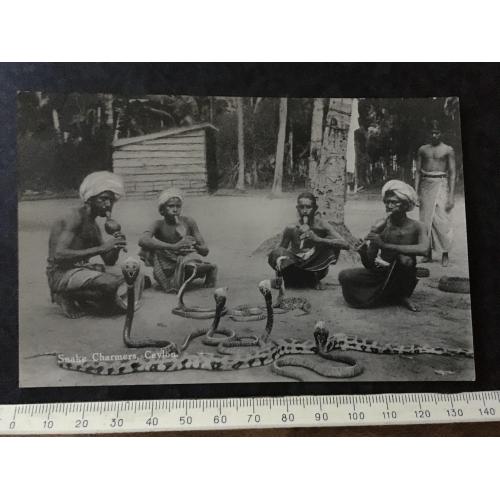 Листівка Цейлон