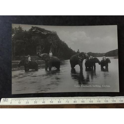 Листівка Цейлон