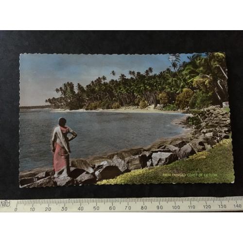 Листівка Цейлон
