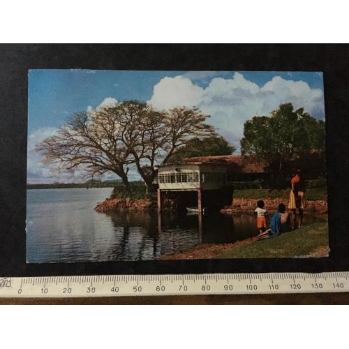 Листівка Цейлон