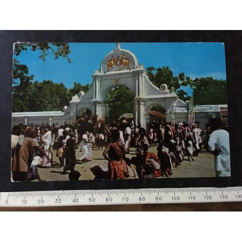 Листівка Цейлон