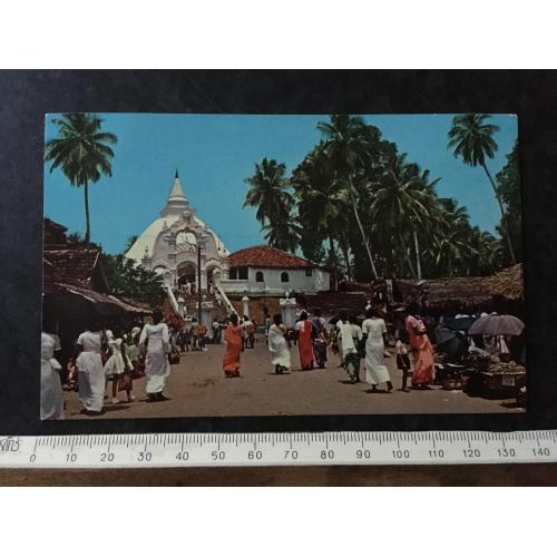 Листівка Цейлон