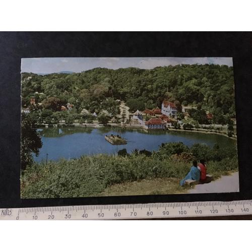 Листівка Цейлон