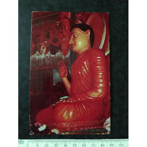 Листівка Цейлон