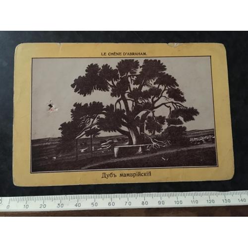 Листівка Дуб Мамврійський