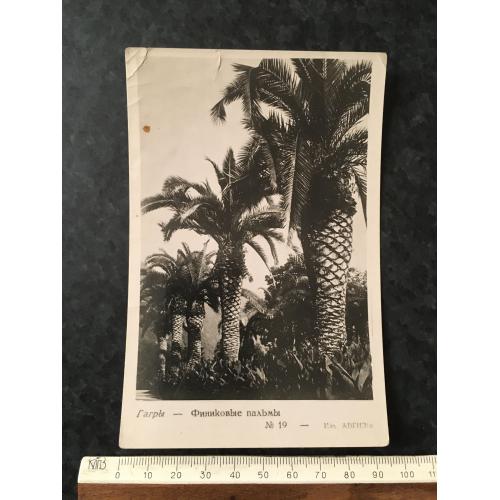 Листівка Гагра