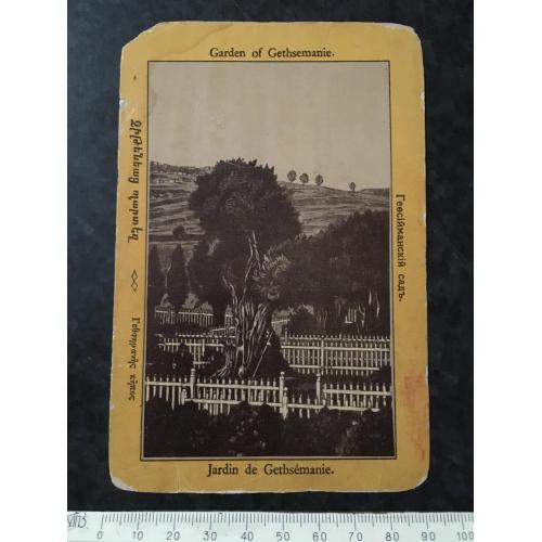 Листівка Гетсиманський сад