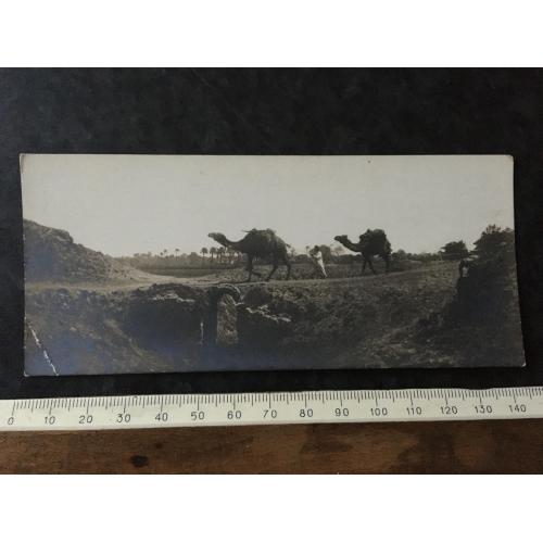 Листівка Каїр Єгипет