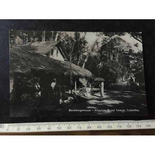 Листівка Коломбо