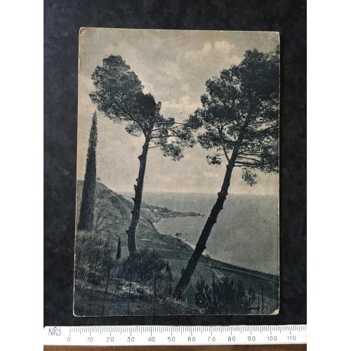 Листівка Крим Алупка