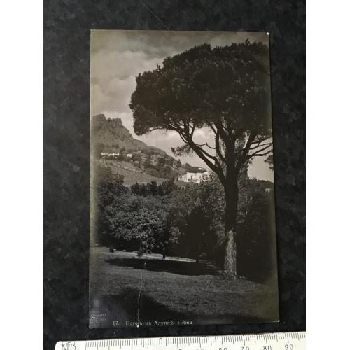 Листівка Крим Алупка