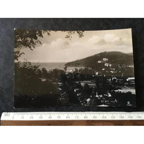 Листівка Хоста