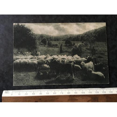 Листівка Крим 