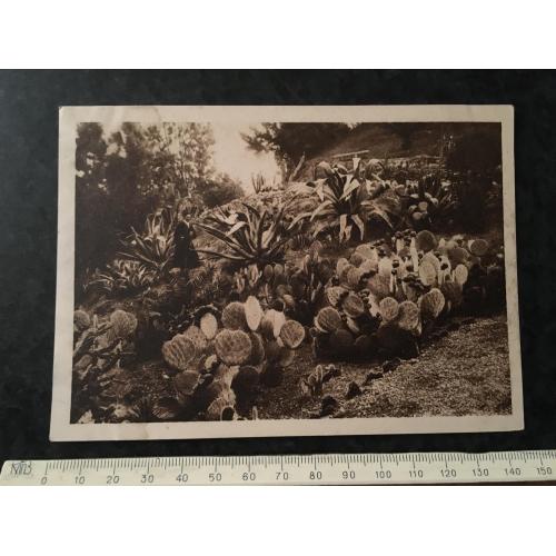 Листівка Сухум